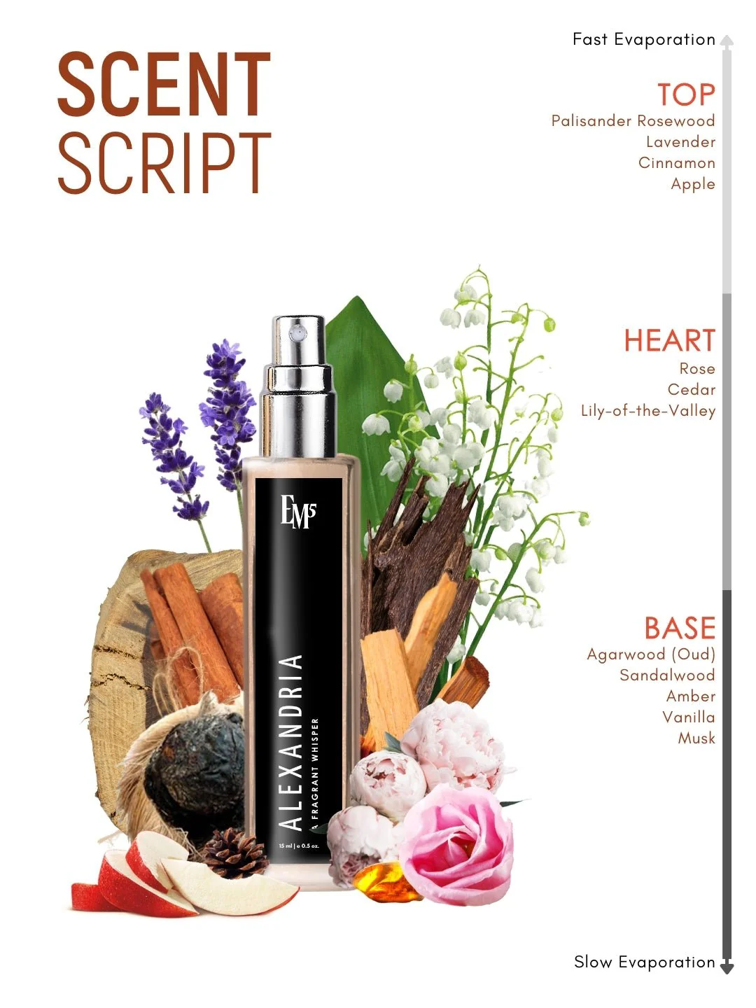 Alexandria | Eau De Parfum - Image 10
