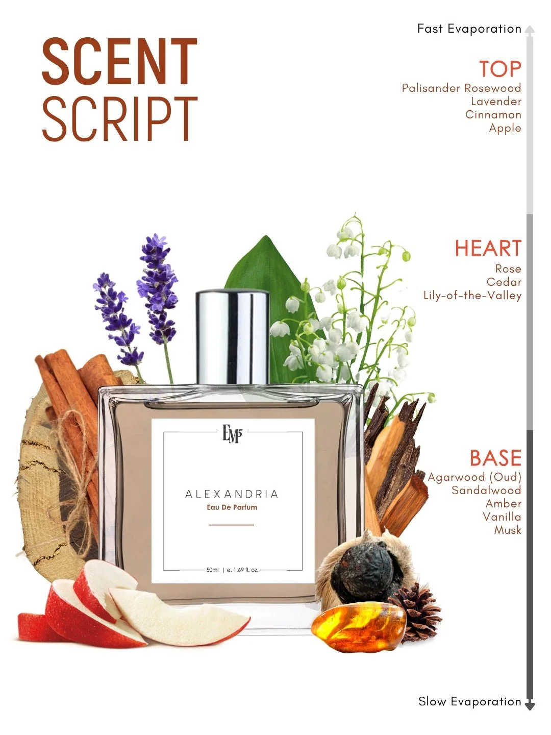 Alexandria | Eau De Parfum - Image 3