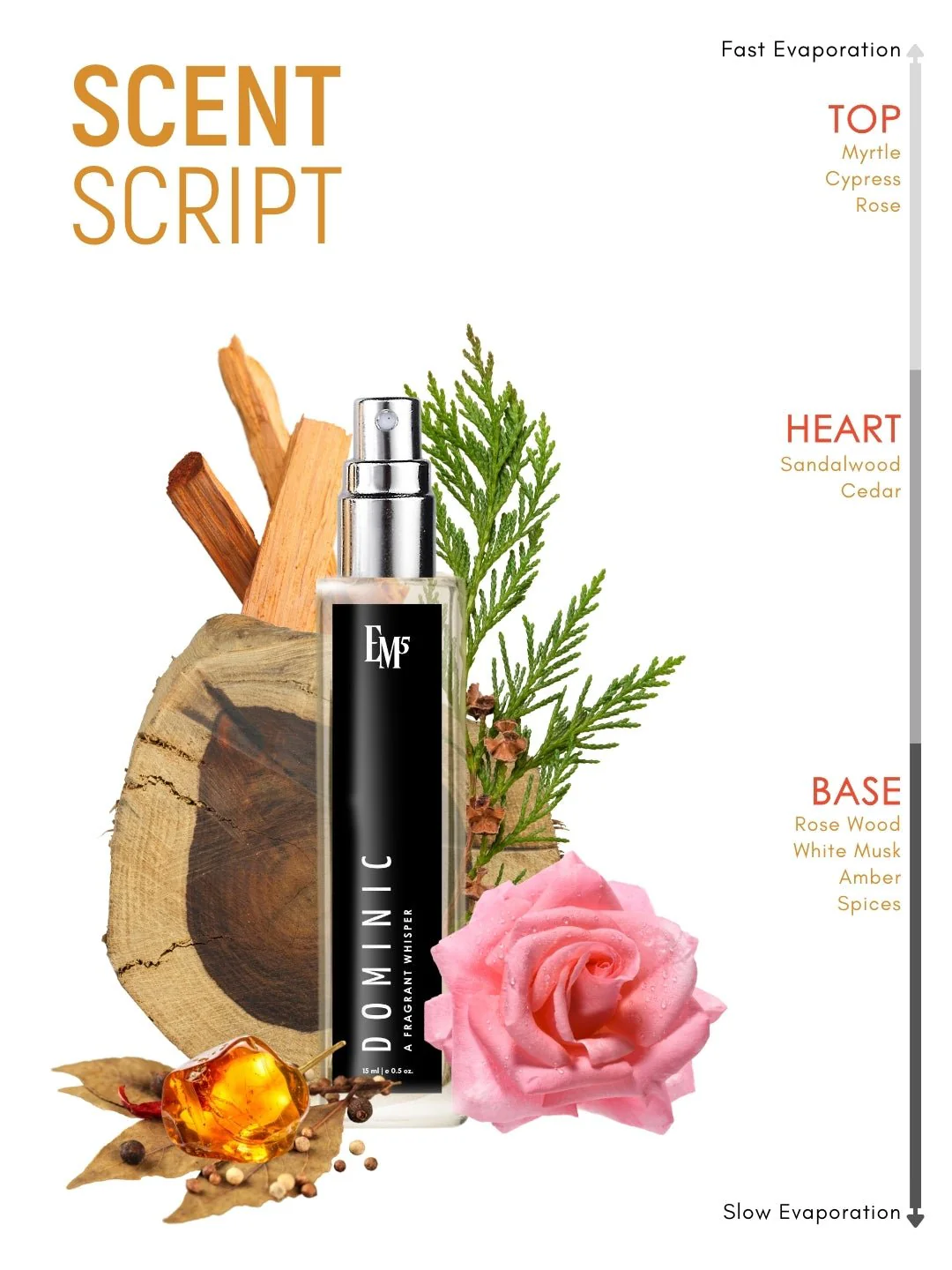 Dominic | Eau De Parfum - Image 10