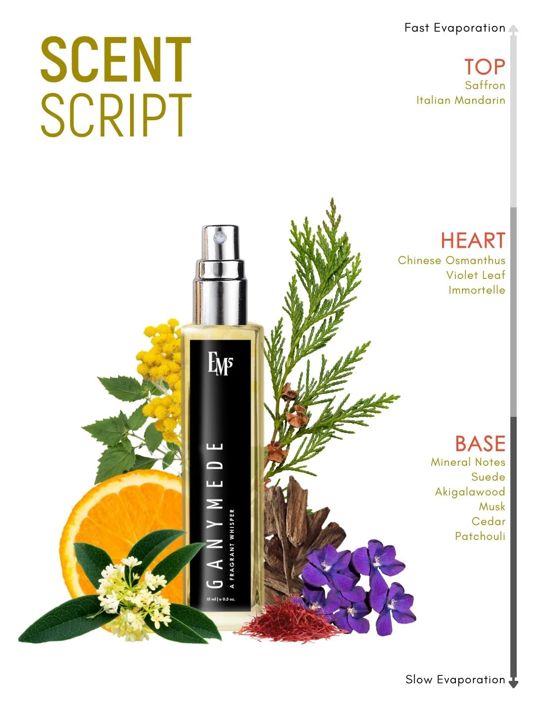 Ganymede | Eau De Parfum - Image 10