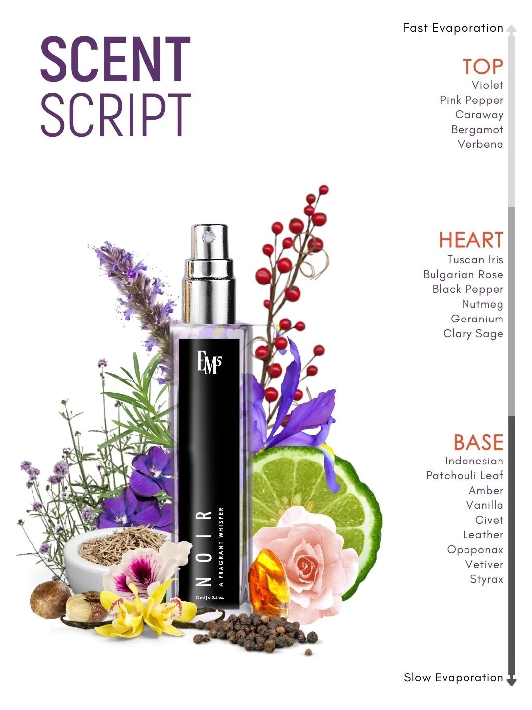 Noir | Eau De Parfum - Image 10