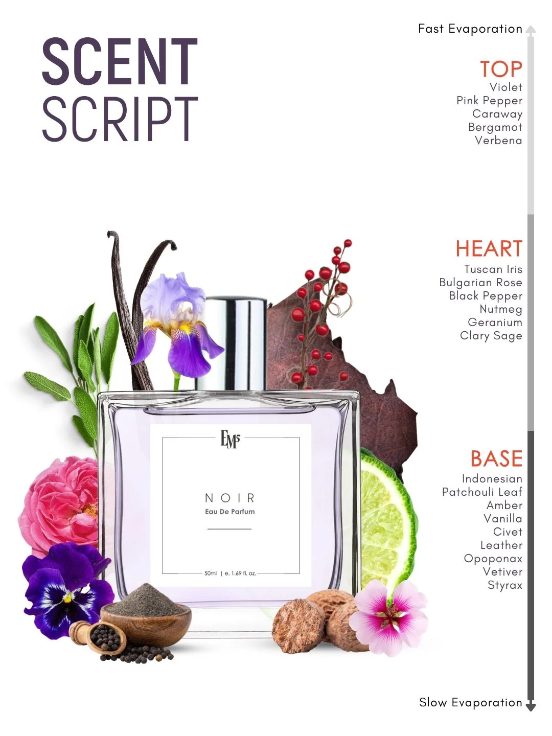 Noir | Eau De Parfum - Image 3