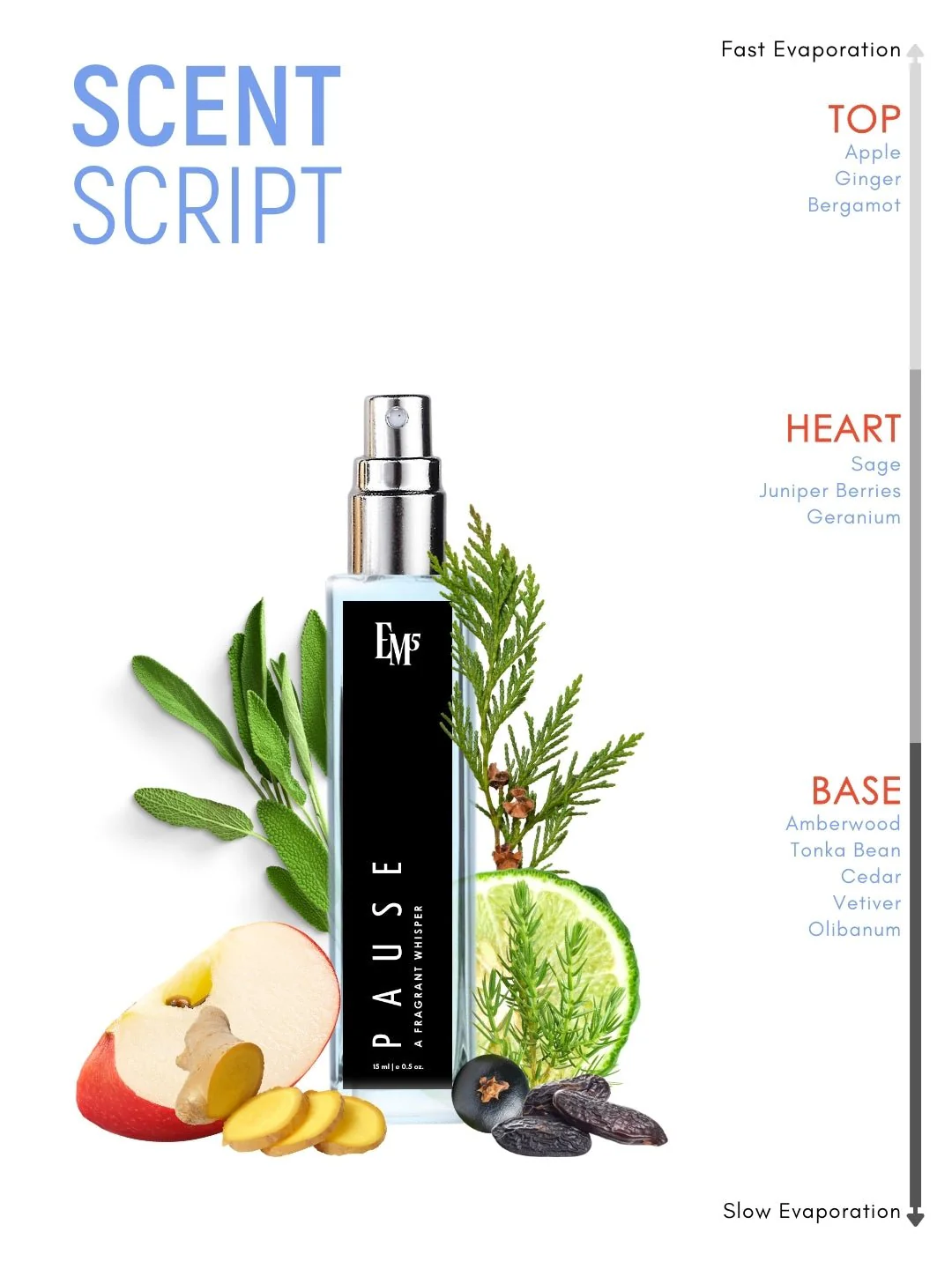 Pause | Eau De Parfum - Image 10