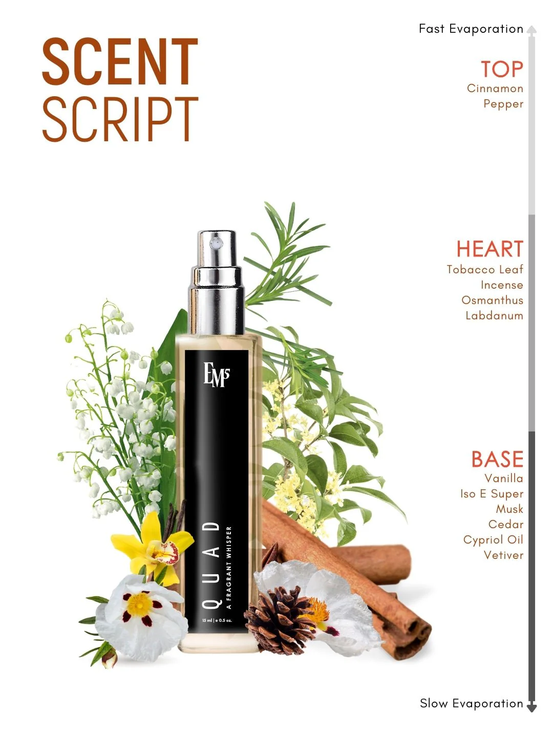 Quad | Eau De Parfum - Image 10