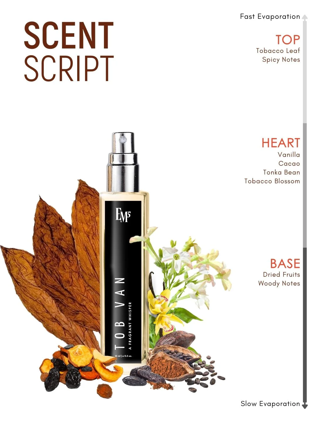 Tob Van | Eau De Parfum - Image 10
