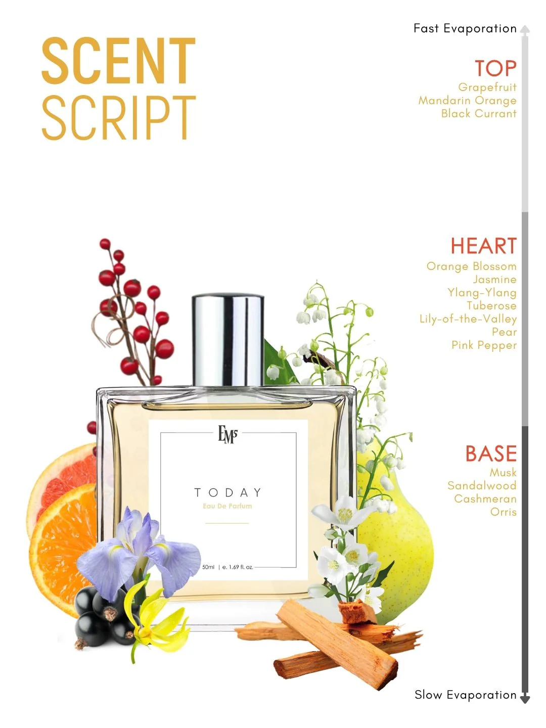 Today | Eau De Parfum - Image 3