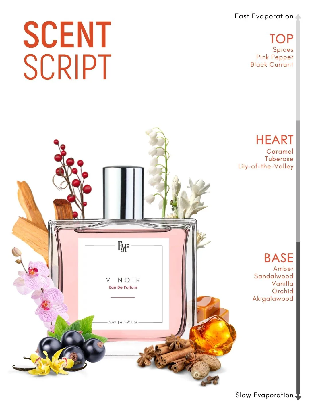 V Noir | Eau De Parfum - Image 3